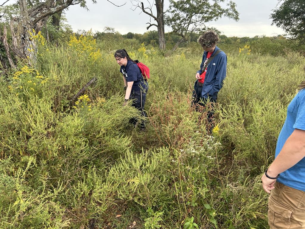 Participants investigate the wagon at the Don Carlos Historic Archaelogical Site.