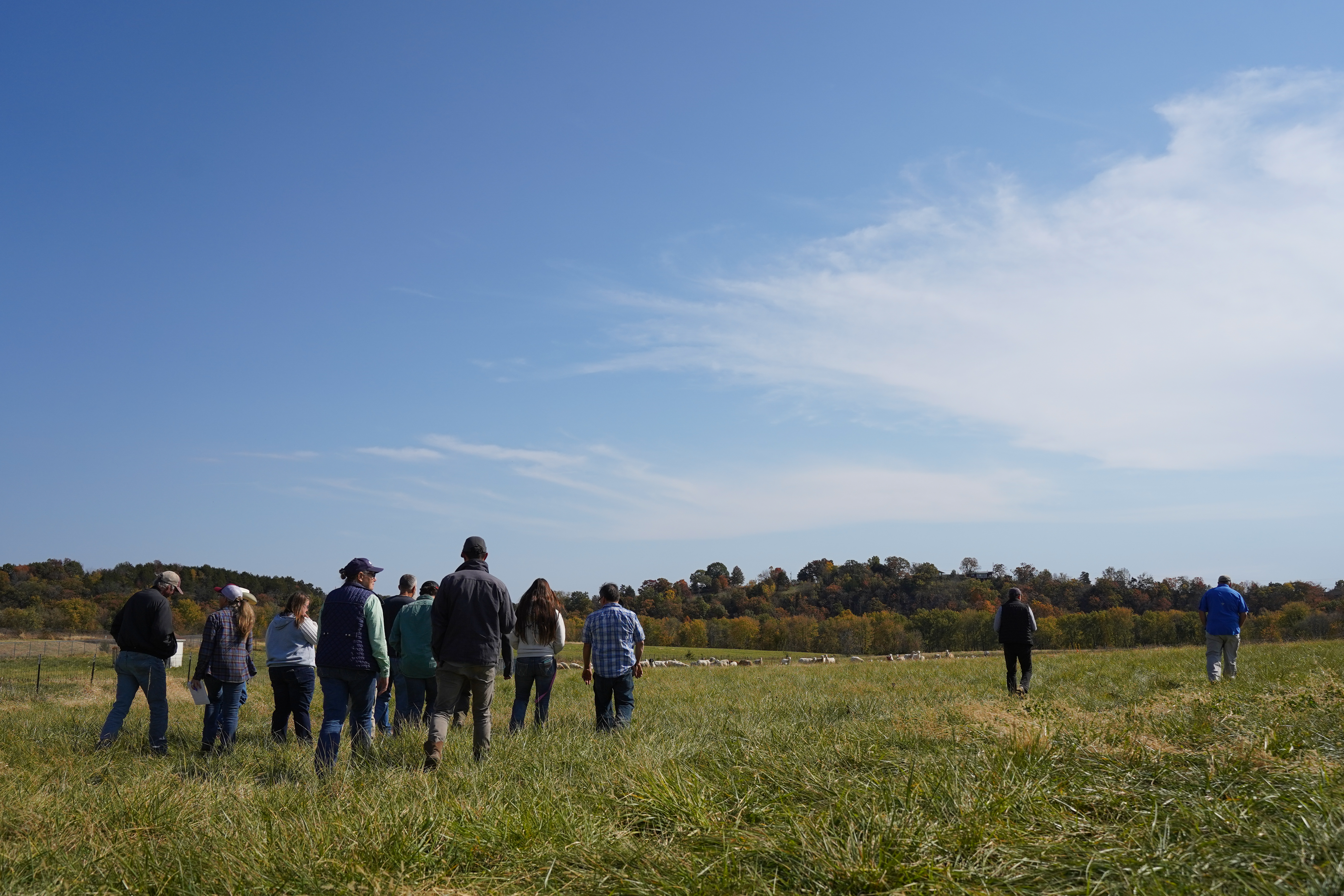 Participants of Noble Grazing Essentials walk through the fields at Carver Farm, Lincoln University, learning hands-on techniques in regenerative grazing to improve soil health and forage growth.