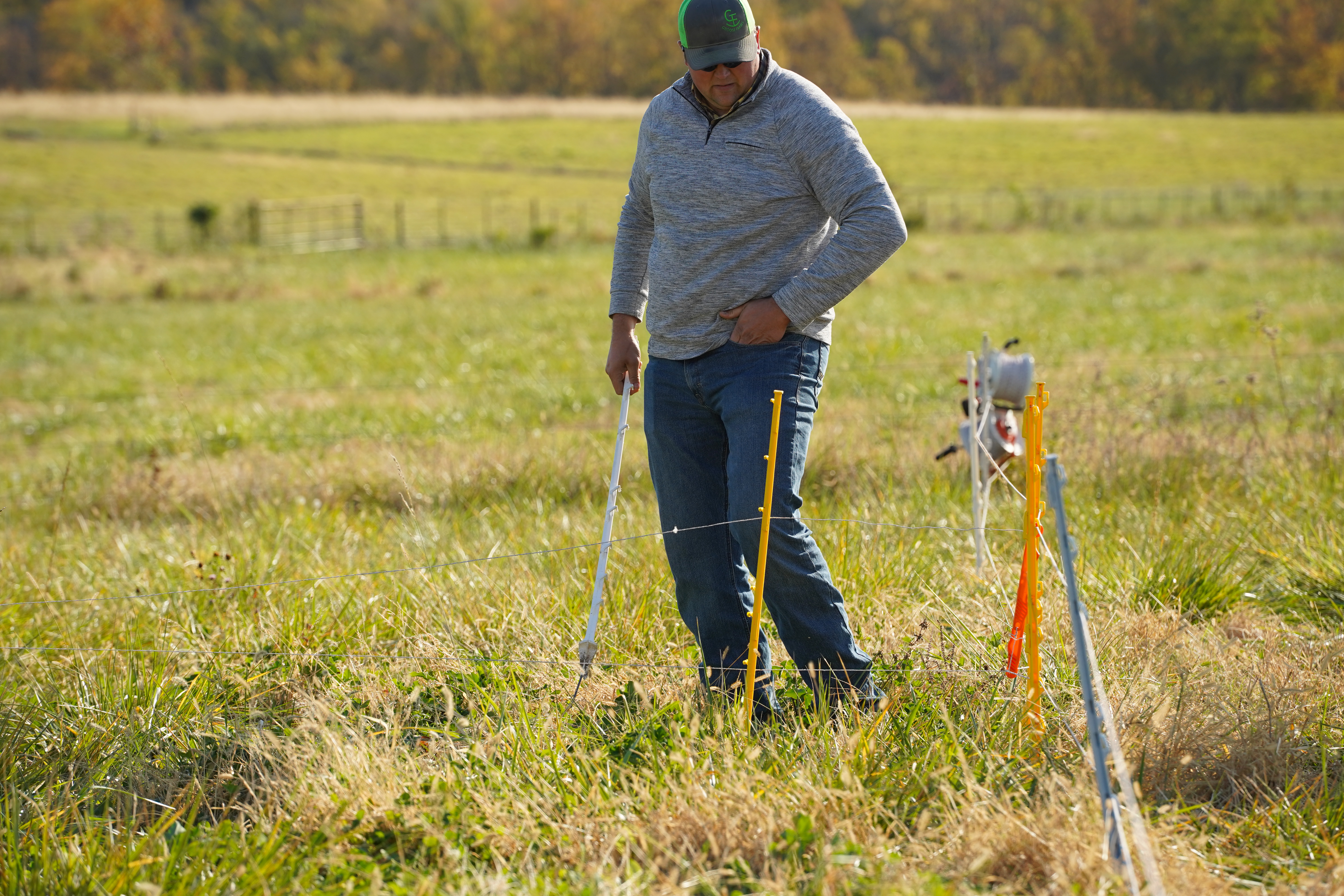 Lincoln University staff demonstrate regenerative grazing methods in the field, providing hands-on guidance to participants aiming to enhance their own pasture management practices.