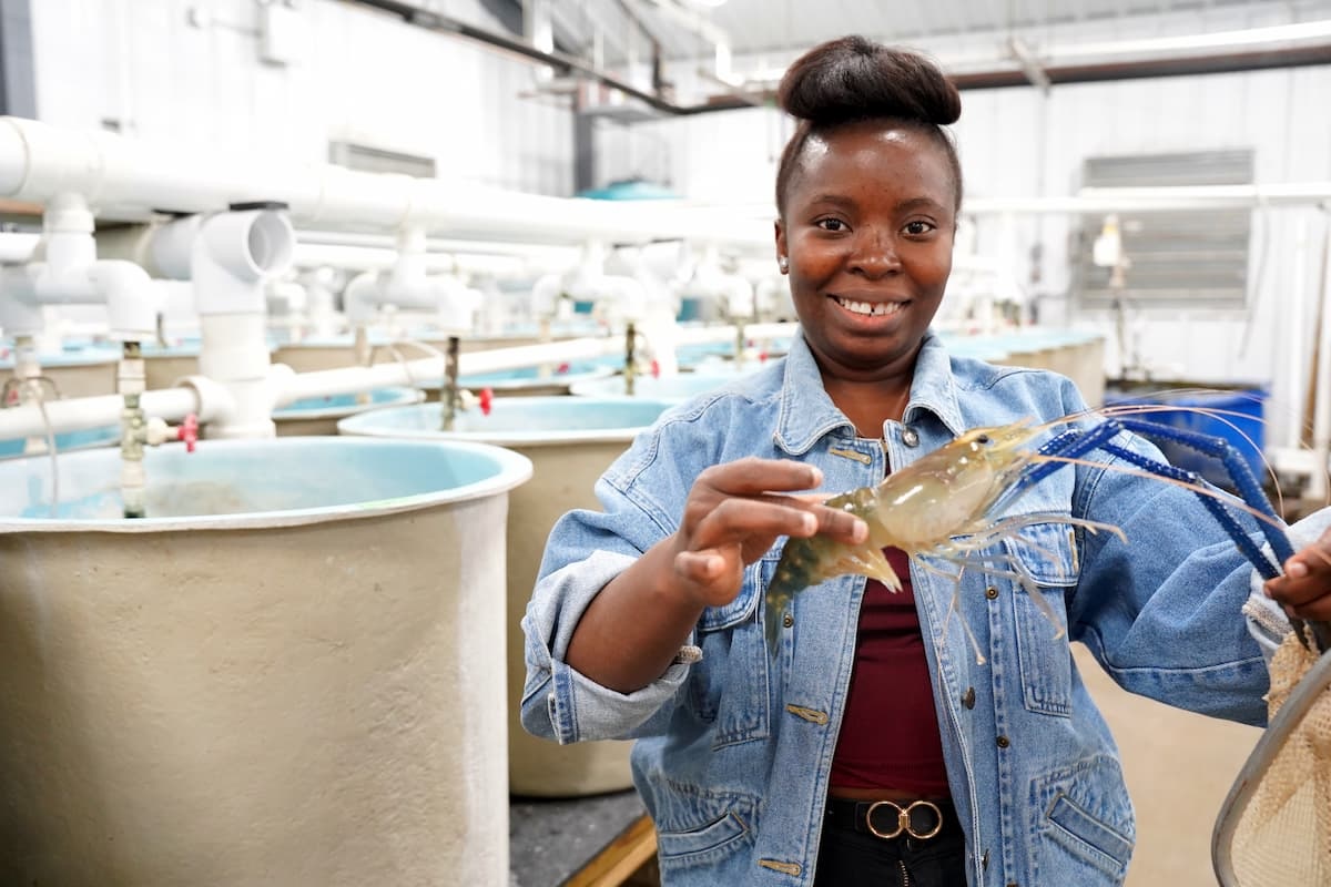  A young Black woman wearing a denim jacket and a burgundy top smiles while holding a large freshwater prawn with blue claws. She is standing inside an aquaculture facility with large, light blue tanks and white PVC piping in the background.