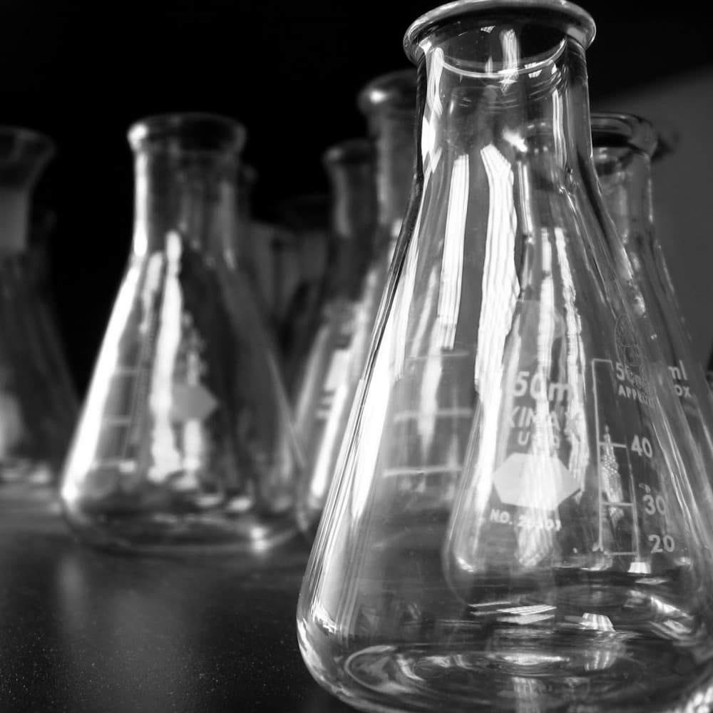 Beakers arranged in a biology lab, used for experiments and measurements