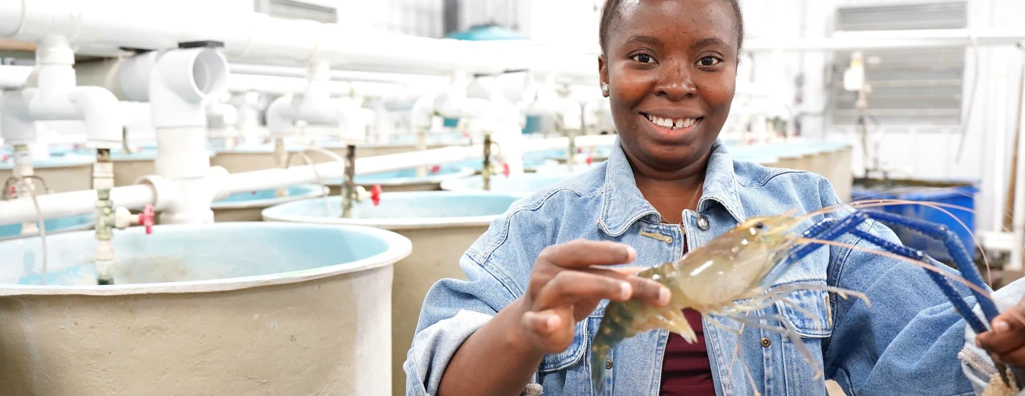 Lincoln University of Missouri student worker for Cooperative Research displays a prawn, an animal of study under the aquaculture program and animal science initiatives. 