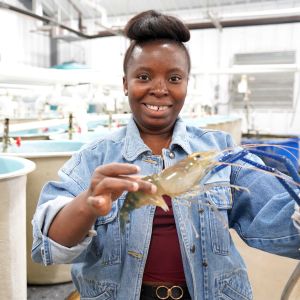 A Lincoln student holds a shrimp grown with Lincoln's Aquaculture program