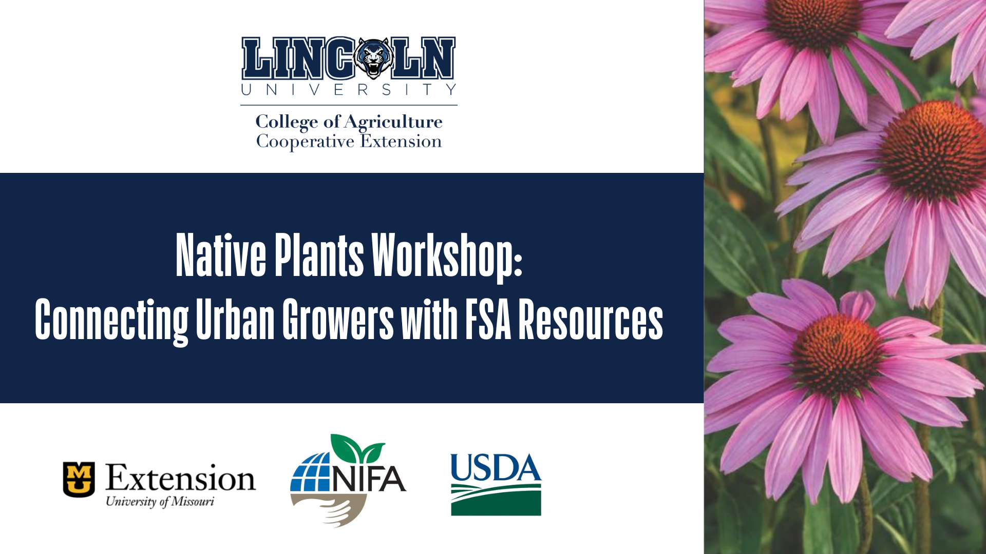 "Native Plants Workshop: Connecting Urban Growers with FSA Resources" graphic. At the top, the Lincoln University College of Agriculture Cooperative Extension logo is displayed. The background features a large blue banner with white text. To the right, there is a photograph of purple coneflowers. At the bottom, logos for the University of Missouri Extension, NIFA, and USDA are shown.