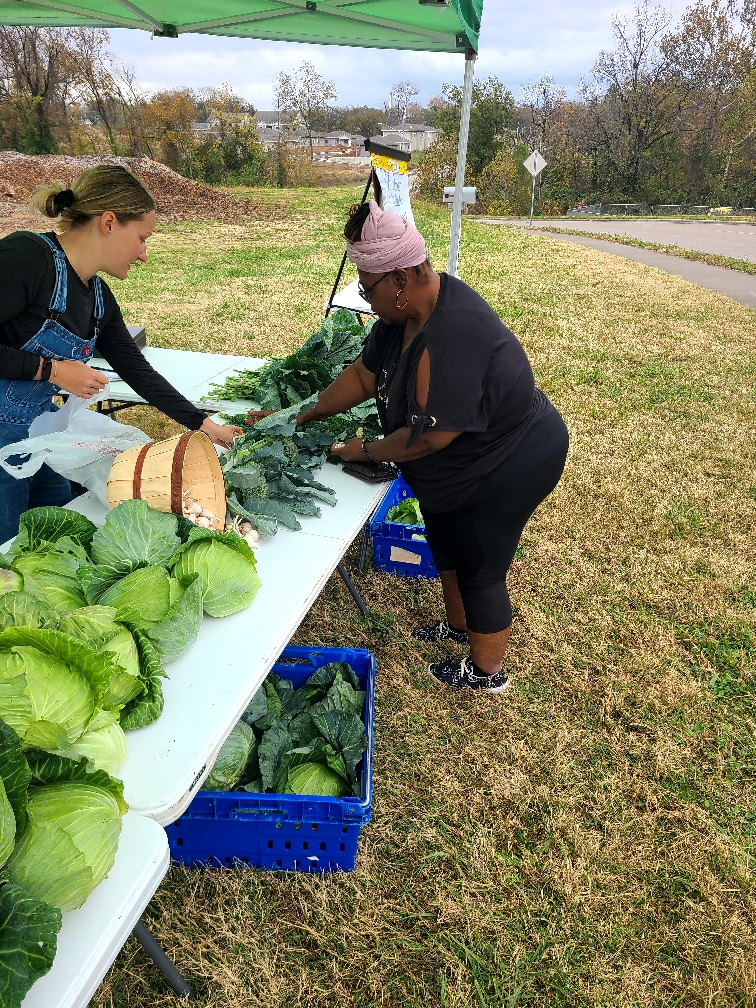 Freshly harvested collard greens, saved through organic pest management, are sold to local community members.