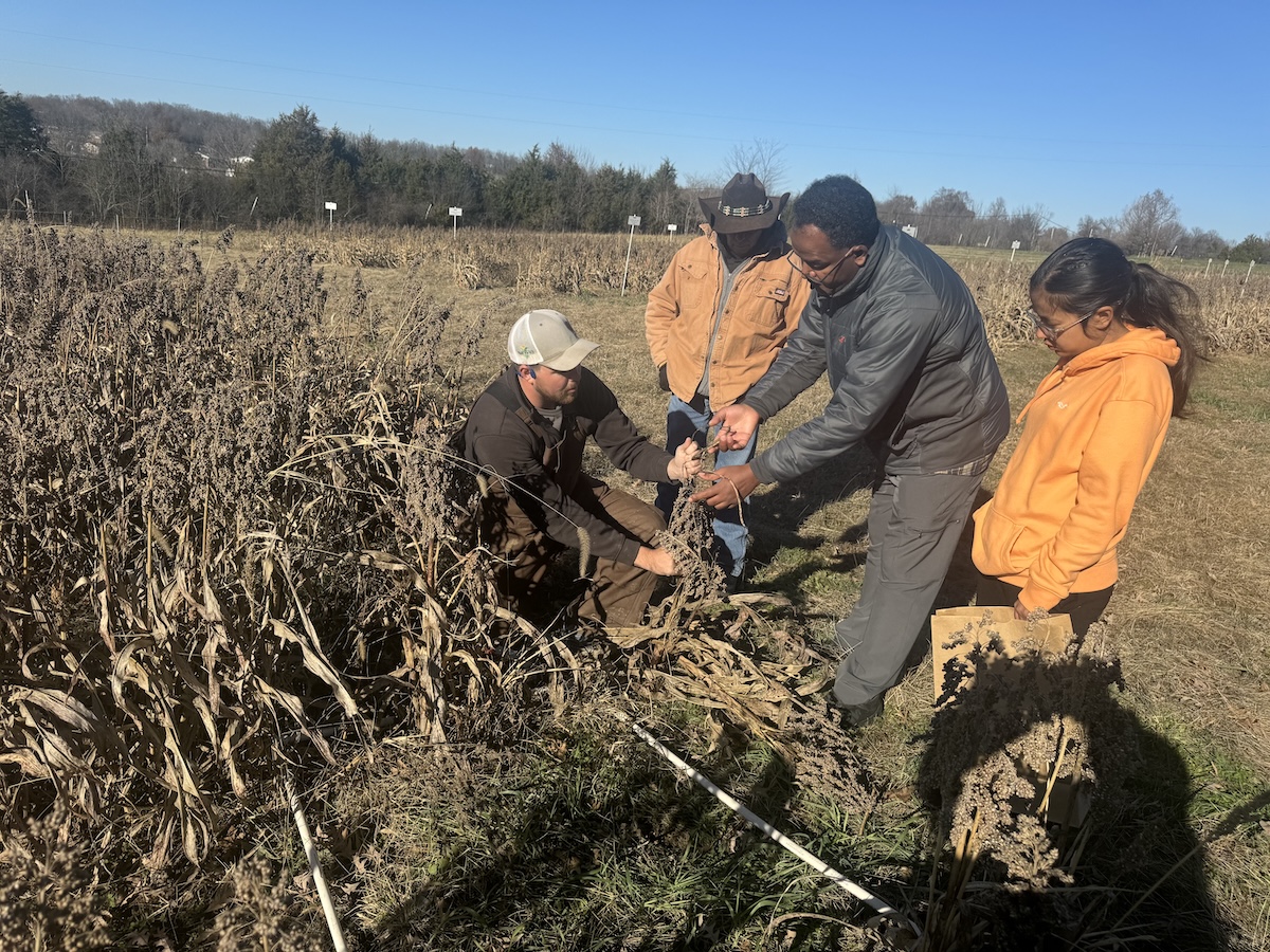 Tunsisa Hurisso, interim associate research director and assistant professor of social science, discusses forage sample collection techniques with research technicians and graduate students at LU’s Alan T. Busby research farm.